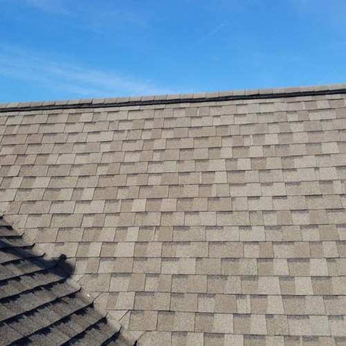 asphalt shingles